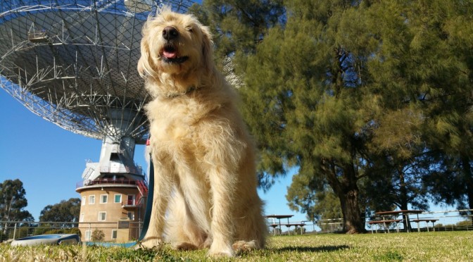 Parkes and the Dish