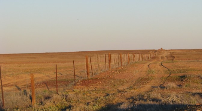 Longest fence in the world?